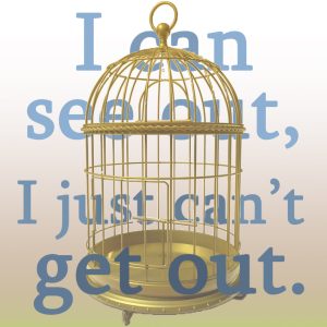 trapped in a bird cage